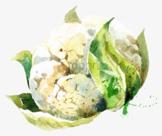 Vector Vegetables Watercolor - Watercolor Vegetables Stock Vector #1134221