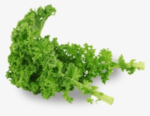 Free Png Kale Png Images Transparent - Kale Png #1134223