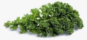 Free Png Kale Png Images Transparent - Kale Png #1134247