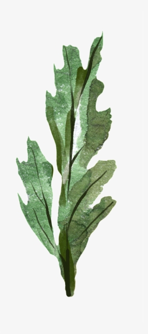 Simple Hand Painted Green Flower Branch Decoration - Chard #1134321