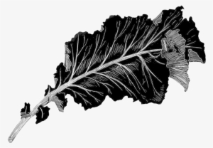 Kale - Portable Network Graphics #1134556