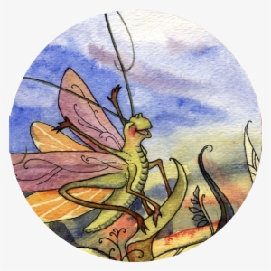 Skippit 3 Ed Circle Small - Fairy #1134737