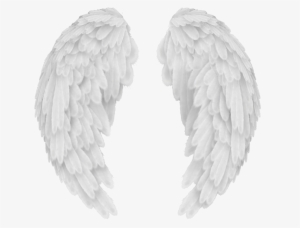 Angel Wings Png - Angel Wings Png Transparent #1134821