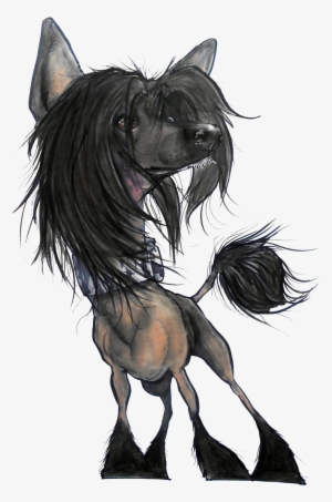 Basic Pet Portrait By John Lafree Johnlafree - Chinese Crested Dog #1134955