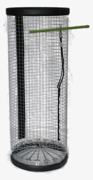 Dd - Vase #1135025