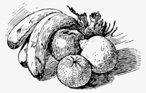 Drawing Fruit Line Art Painting - Black And White Drawings Of Fruits #1135698