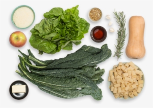 Butternut Squash & Kale Rigatoni With Crispy Rosemary - Lettuce Kale #1135777