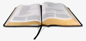 Bible Vector Png Jpg Freeuse Download - Bible Png #1135855
