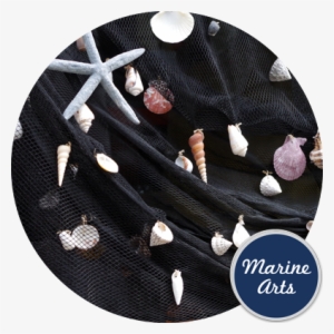 Fishing Net #1135925