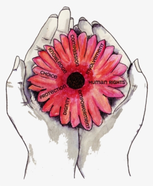 Integritas Support Provides An Independent Social Work - Oriental Poppy #1137042