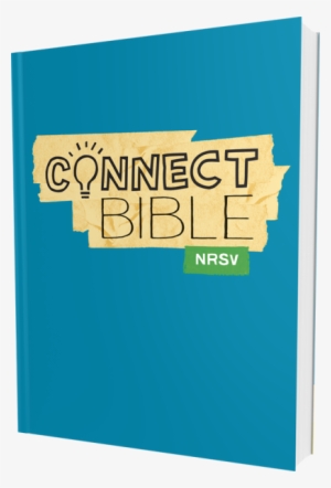 Connect Bible Nrsv Paperback #1137137