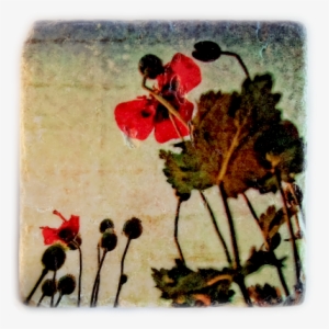 Rustic And Contemporary At The Same Time The Unique - Poppy #1137271