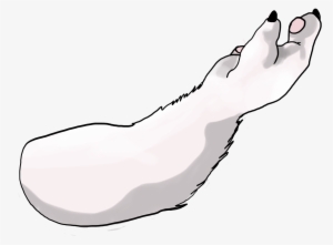 Image Image #1137736