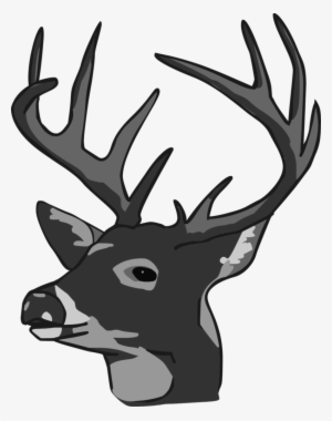 Deer Head Clipart - Deer Head #1137987