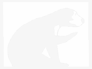 Bear #1138160 Bear #1138160