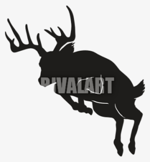 Clipart Info - Whitetail Deer Silhouette Jumping #1138237
