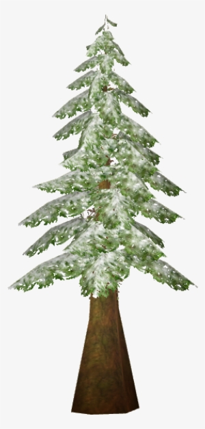 Snowy Red Cedar - Weinrebe Kaufen #1139309