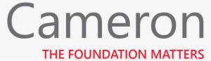 Cameron, The Foundation Matters - Datalogic Logo #1139770