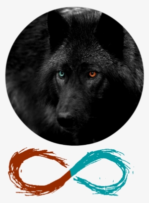 Immortalized Banner Infinity Sign Wolf Red Blue Black - Lobos Frases #1139869
