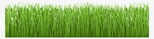 Grass Vector Png Download - Herbe Bas De Page #1140643