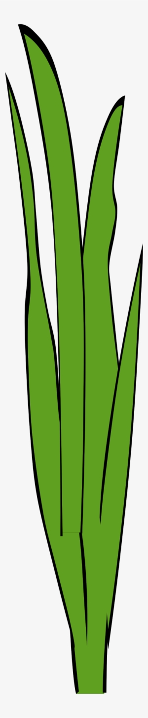 Sea Grass Clipart Animated - Fish Tank Plants Clip Art #1140792