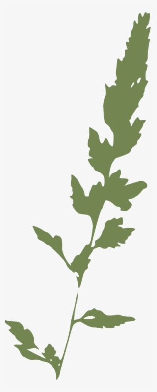 Free Vector Canary Grass Clip Art - Grass Clipart #1141006