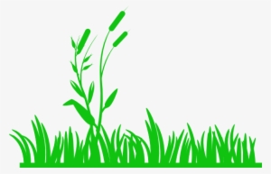 Png Transparent Library Green With Reeds Clip Art At - Meadow Clip Art #1141360