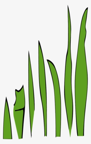 Grass Blades And Clumps - Grass Clip Art #1141364