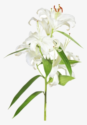 Easter Lilies Png - Easter Cross With Lilies Transparent #1141535
