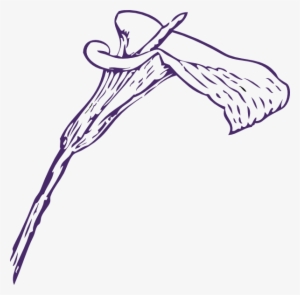 Pink Lily Flower Png Clipart - Calla Lily Clip Art #1141655