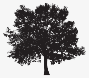 Tree Silhouette Png Clip Art #1141853