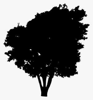 Free Download - شجر اسود #1141924