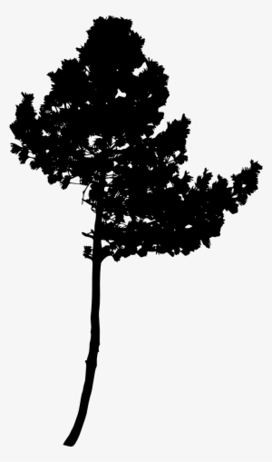 Free Download - Silhouette #1141955