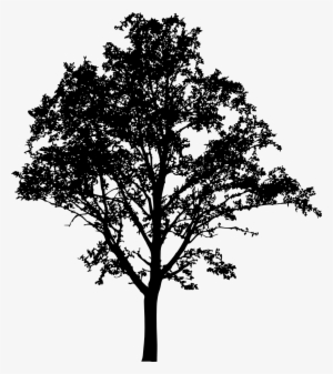 Free Download - Portable Network Graphics #1142004