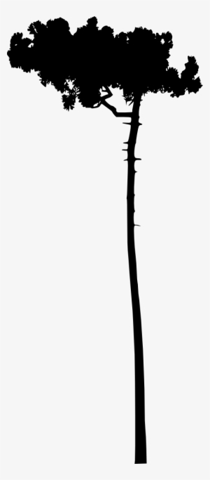 Free Download - Silhouette #1142030