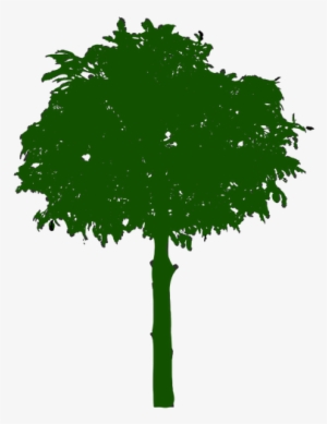 Oak Tree Silhouette Clipart - Icone Arvore #1142334