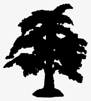 Tree Silhouettes Png, Tree Silhouettes Png - Dorothy Silhouette #1142573