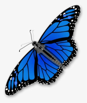 Large Monarch Butterfly 0 6281 - Blue Monarch Butterfly Clipart #1142951