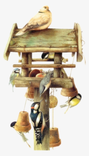 Dieren Painting Page 3, Birds, Psp, Animals, Blog, - More Cute Psp Tubes With Transparent Background #1143410