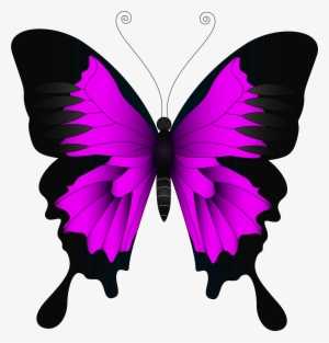 Numbers Clipart Butterfly - Papilio Ulysses #1144012