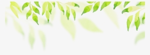 Header Leaf Green - Header Background Image Png Html #1144233