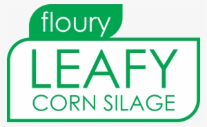Floury Leafy Corn Silage - Eat Good Food #1144494