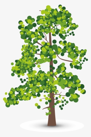 Albero Jpg Freeuse Stock - Oxygen Carbon Dioxide Cycle Blank #1144608