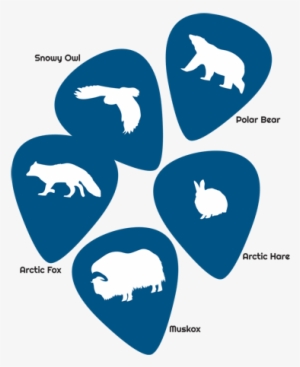 Artic Guitar Picks - Emblem #1145802