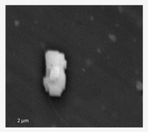 Gimmick Card Torn And Restored #1146132