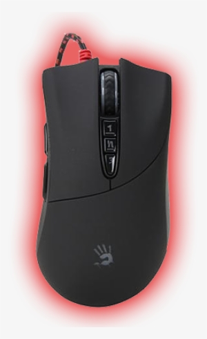 V3 - Mouse #1146229