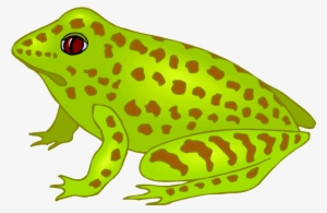 Free Frog Clipart - Spotted Frog Clipart #1146954