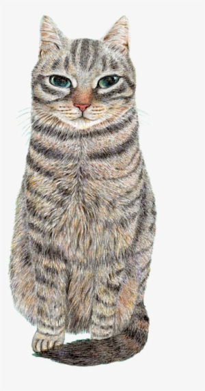 Bleed Area May Not Be Visible - Cat #1147186