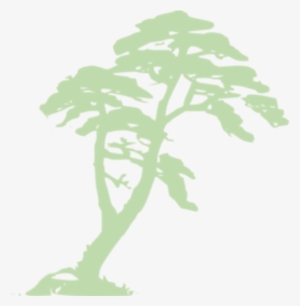 Rainforest Clipart - Rainforest Vector #1147664