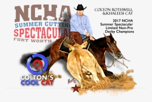 Colton's Cool Cat - Sorrel #1147869